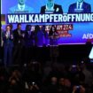 Wahlkampfauftakt ohne Krah: Chrupalla sieht AfD einem „Sturmfeuer“ ausgesetzt