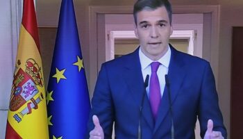 "J'ai décidé de continuer", annonce le Premier ministre espagnol Pedro Sanchez