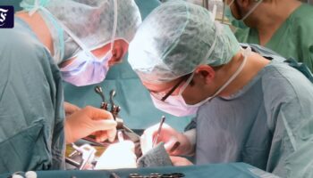 Gesetzentwurf zur Organspende: Die Niere eines Unbekannten
