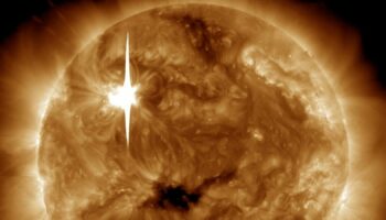 The sun emitting a solar flare on 22 February 2024. Pic: NASA/SDO/Reuters