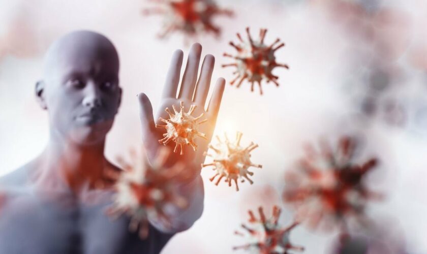 Des études récentes ont confirmé que l'infection confère des anticorps neutralisants aux patients symptomatiques, mais beaucoup reste encore à découvrir.