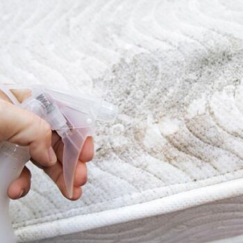Aldi's 20p solution that banishes 'breeding ground' mattress mould