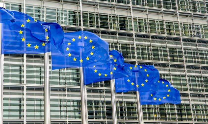 Après TikTok Lite, la commission européenne envisage l’interdiction de Copains d’Avant