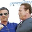 Ziemlich beste Muskel-Freunde: Arnold Schwarzenegger (r.) und Sylvester Stallone.