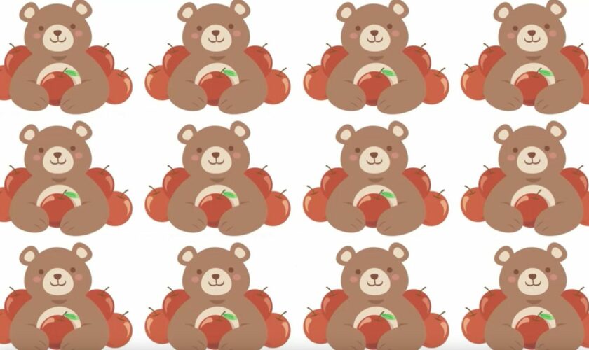 Augentest: Tierisches Suchbild: Können Sie den abweichenden Bären finden?