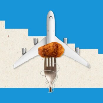 Cómo los alimentos fritos pueden revolucionar los vuelos sostenibles