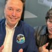 Elon Musk: Argentiniens Regierungschef Javier Milei plant Konferenz mit Techmilliardär