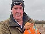 'Everything's gone wrong' on Jeremy Clarkson's farm: How Diddly Squat's been plagued by red tape and poor harvests (and he's tried to rope in Rishi Sunak for help too) - as star 'channels' Kevin Costner's Yellowstone rancher to overcome the challenges