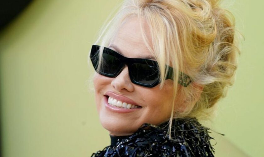 Pamela Anderson wurde durch die 90er-Jahre-Serie "Baywatch" berühmt. Foto: Jordan Strauss/Invision/AP/dpa