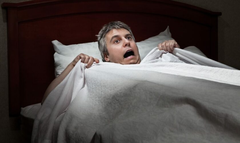 Gabriel Attal se réveille en sursaut, persuadé qu’un chômeur se cache sous son lit