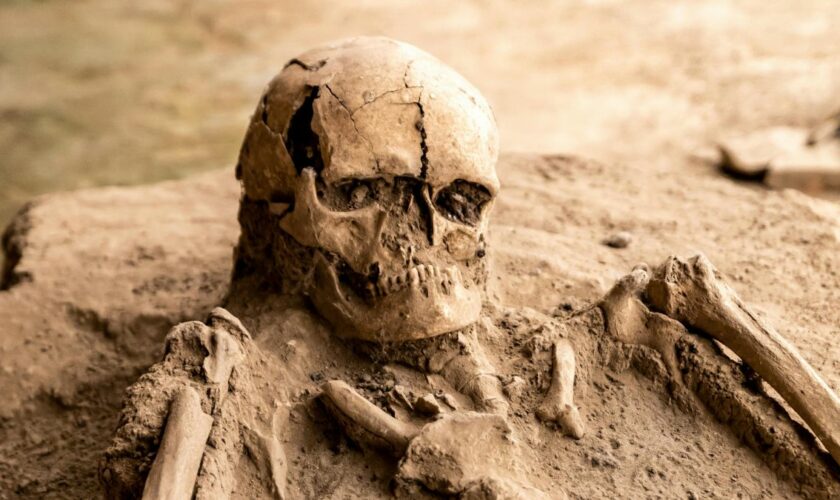 La tombe d'un «zombie» retrouvée en Allemagne
