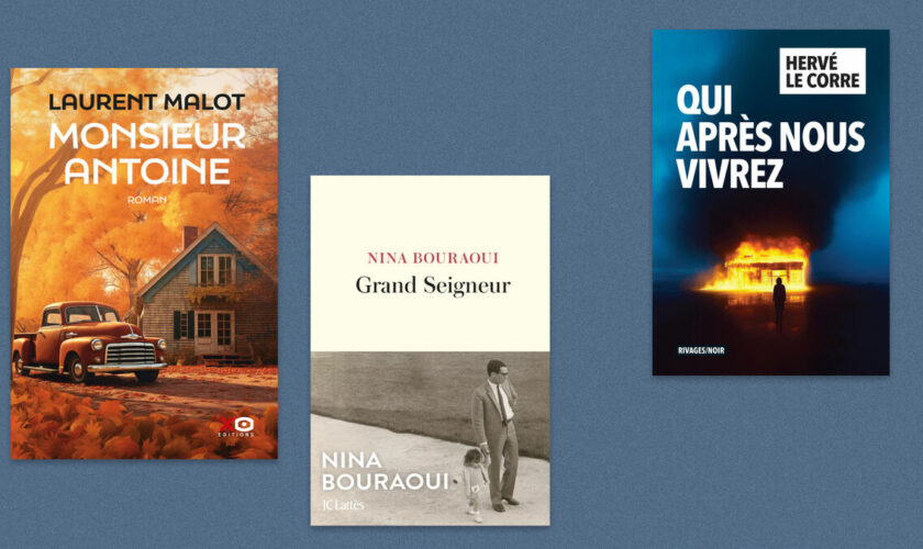 Laurent Malot, Nina Bouraoui, Hervé Le Corre… Notre sélection livres de la semaine