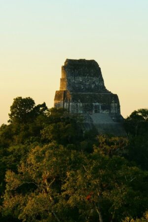 Les restes calcinés de souverains mayas témoignent de l'effondrement brutal d'une dynastie