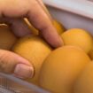 Life-Hacks: Warum Sie Eier nicht im Kühlschrank aufbewahren müssen