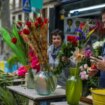 Los catalanes comprarán 7 millones de rosas por Sant Jordi, un 20% más, según Mercabarna-flor