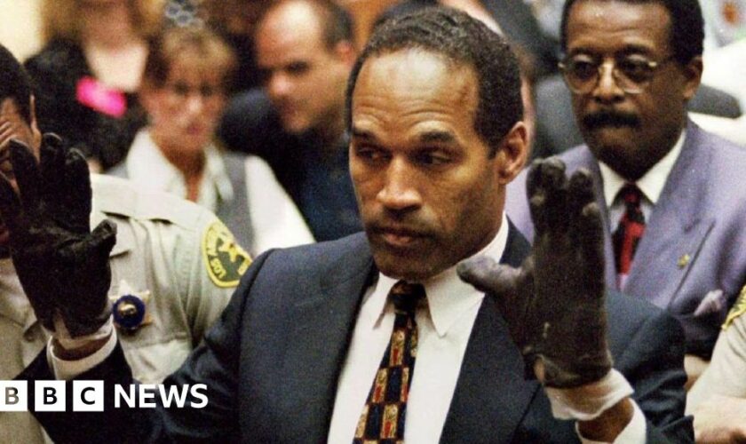 OJ Simpson, wearing the blood stained gloves found by Los Angeles Police and entered into evidence in Simpson's murder trial
