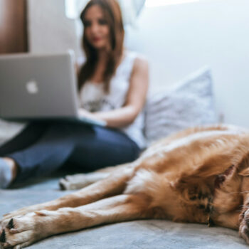 Passer du temps avec son chien améliore la concentration et réduit le stress