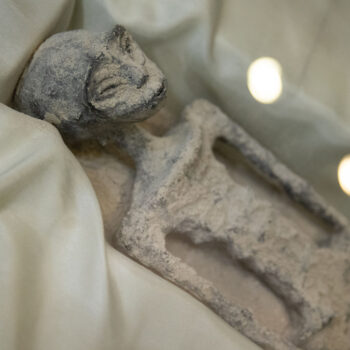 Présentées comme des extraterrestres, les poupées avaient été volées dans des tombes