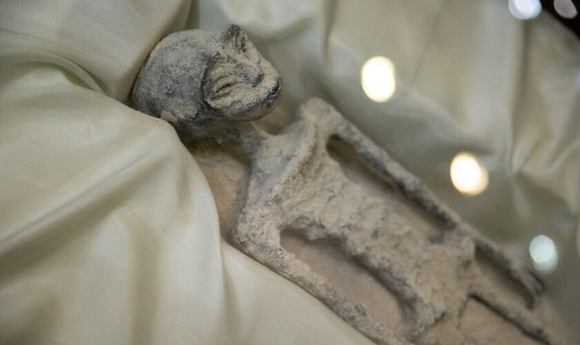 Présentées comme des extraterrestres, les poupées avaient été volées dans des tombes