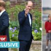 Princess Diana would be 'absolutely distraught' over Prince Harry and Prince William feuding