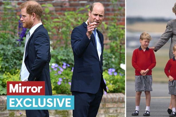 Princess Diana would be 'absolutely distraught' over Prince Harry and Prince William feuding