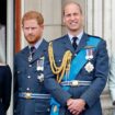 'Sad' Prince Harry knows he deepened William and Kate Middleton rift - but has clear 'priority'