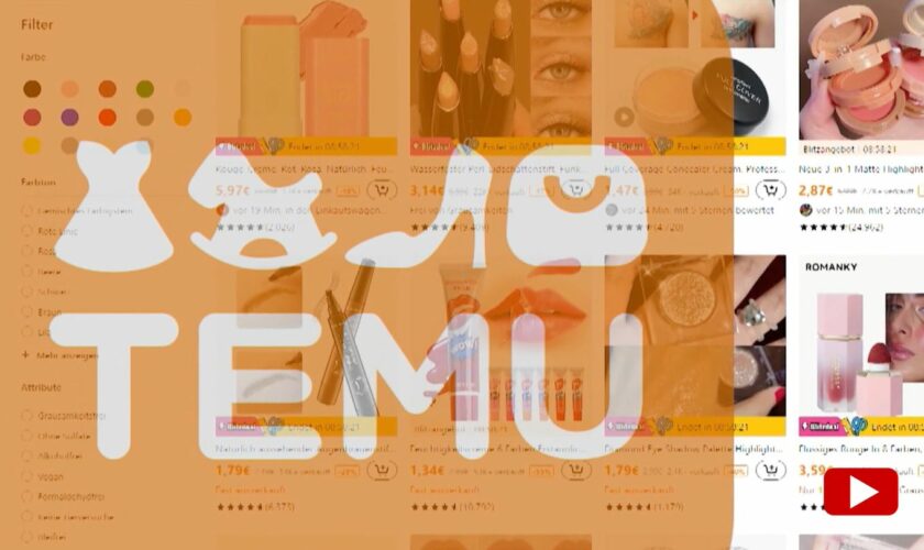 Sicherheitsrisiko : Online Store "Temu": Verbraucherschützer warnen vor Produkten der Handelsplattform