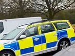 That's nothing to crow about! Baffled police think their patrol cars are faulty - only to learn a bird was mimicking their sirens