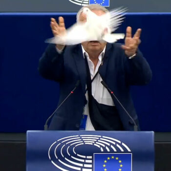 VIDÉO. Parlement européen : un député sort une colombe de sa poche et la lâche dans l’hémicycle