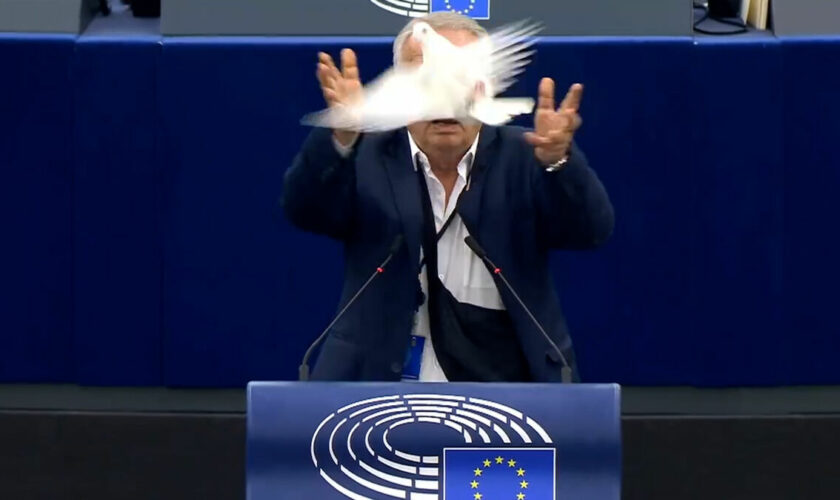 VIDÉO. Parlement européen : un député sort une colombe de sa poche et la lâche dans l’hémicycle