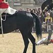 What WAS wrong with the Household Cavalry's horses yesterday? New video shows animals spooked - with a rider thrown to the ground and injured - in SEPARATE incident to the one that saw runaway steeds careering through London