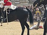 What WAS wrong with the Household Cavalry's horses yesterday? New video shows animals spooked - with a rider thrown to the ground and injured - in SEPARATE incident to the one that saw runaway steeds careering through London