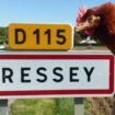 Yvelines : la ferme aux 40 000 poules retoquée par la justice, l’éleveur déterminé à aller « jusqu’au bout »