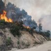 Zweithöchste Waldbrand-Warnstufe in Griechenland ausgerufen