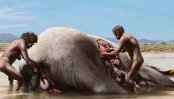 ¿Quiénes se comieron el cadáver de Amparito, la mamut que vivió hace más de un millón de años en Granada?