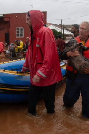 Des dizaines de morts et disparus après des pluies torrentielles au Brésil