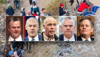 'Stop the invasion': Migrant flights in battleground state ignite bipartisan backlash from lawmakers
