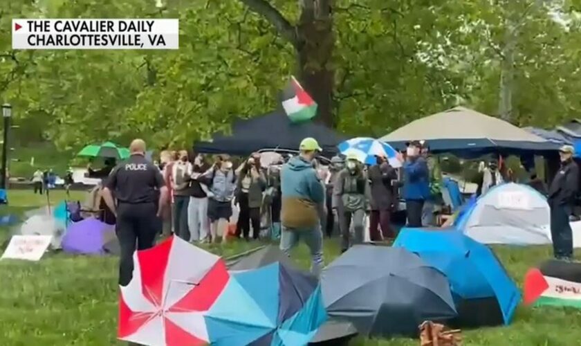 University of Virginia police arrest 25 anti-Israel protesters while trying to clear encampment