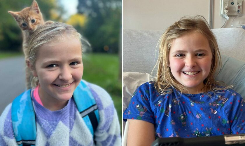 Pennsylvania mom seeks ‘perfect match’ bone marrow donor to cure daughter’s rare disorder: ‘Crucial need’