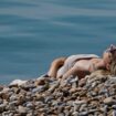 A lady enjoys the warm weather on the beach in Hastings, East Sussex. Picture date: Thursday May 9, 2024.