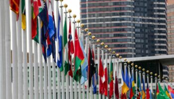 L’Europe et le « Sud global » doivent s’allier pour rebâtir le multilatéralisme
