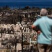 Hawaii study shows almost 75% of Maui wildfire survey participants have respiratory issues