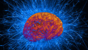 Des chercheurs ont mis au point des implants cérébraux capables de décoder le “discours intérieur”