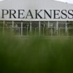 Preakness Stakes betting: How you can easily place a bet on the second race of the Triple Crown