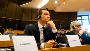 Europaparlament: Französische Rassemblement National beendet Zusammenarbeit mit AfD