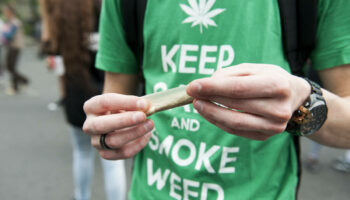 Cannabis : cessons de tordre les faits
