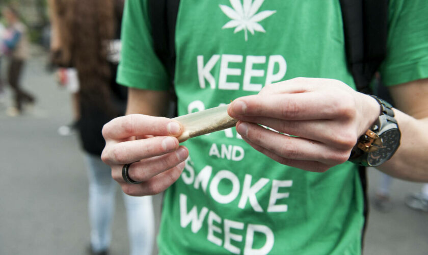 Cannabis : cessons de tordre les faits