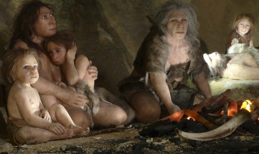 Il y a 47 000 ans naissaient les premiers bébés issus de la rencontre entre Neandertal et Sapiens