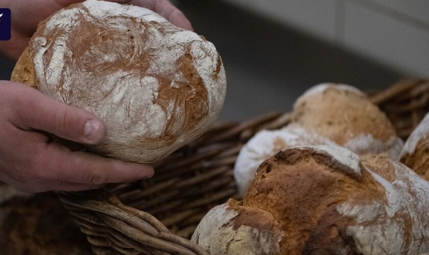 Die Wissenschaft vom perfekten Brot