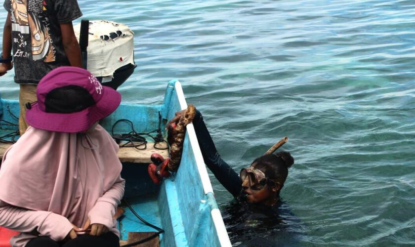 Les “mamas” plongeuses de Papouasie, gardiennes des fonds marins